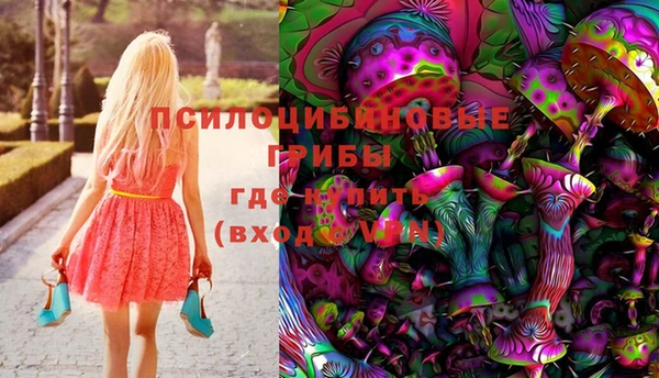 дмт Горно-Алтайск