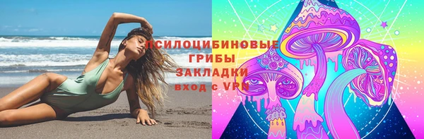 первитин Горняк