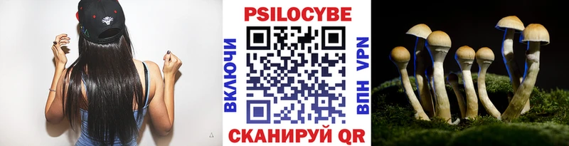 Галлюциногенные грибы GOLDEN TEACHER  Купить закладки  Петров Вал 